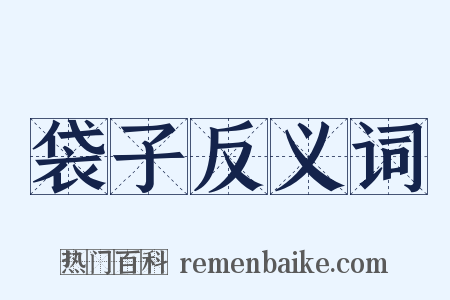 袋子反义词是什么意思的图片